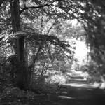 Martin Erik Andersen