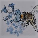 Catherine Abeille