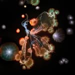 Kathrin Linkersdorff