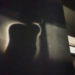 Camilla Wexels Riser