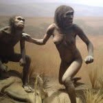 Jessica Craig-Martin