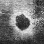 Christiane Baumgartner