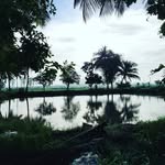 Art Of Nature