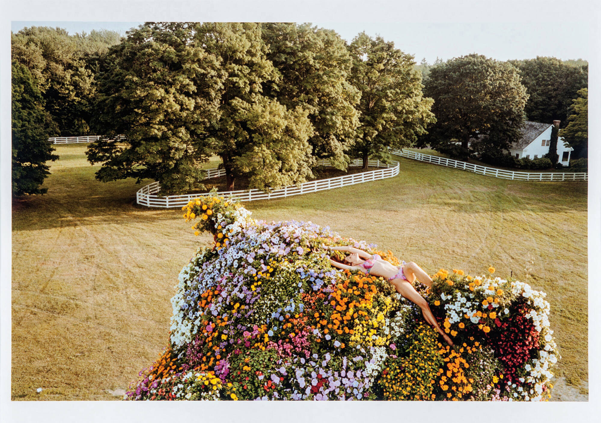 Stephanie Seymour Reclining on Jeff Koons 'Puppy'