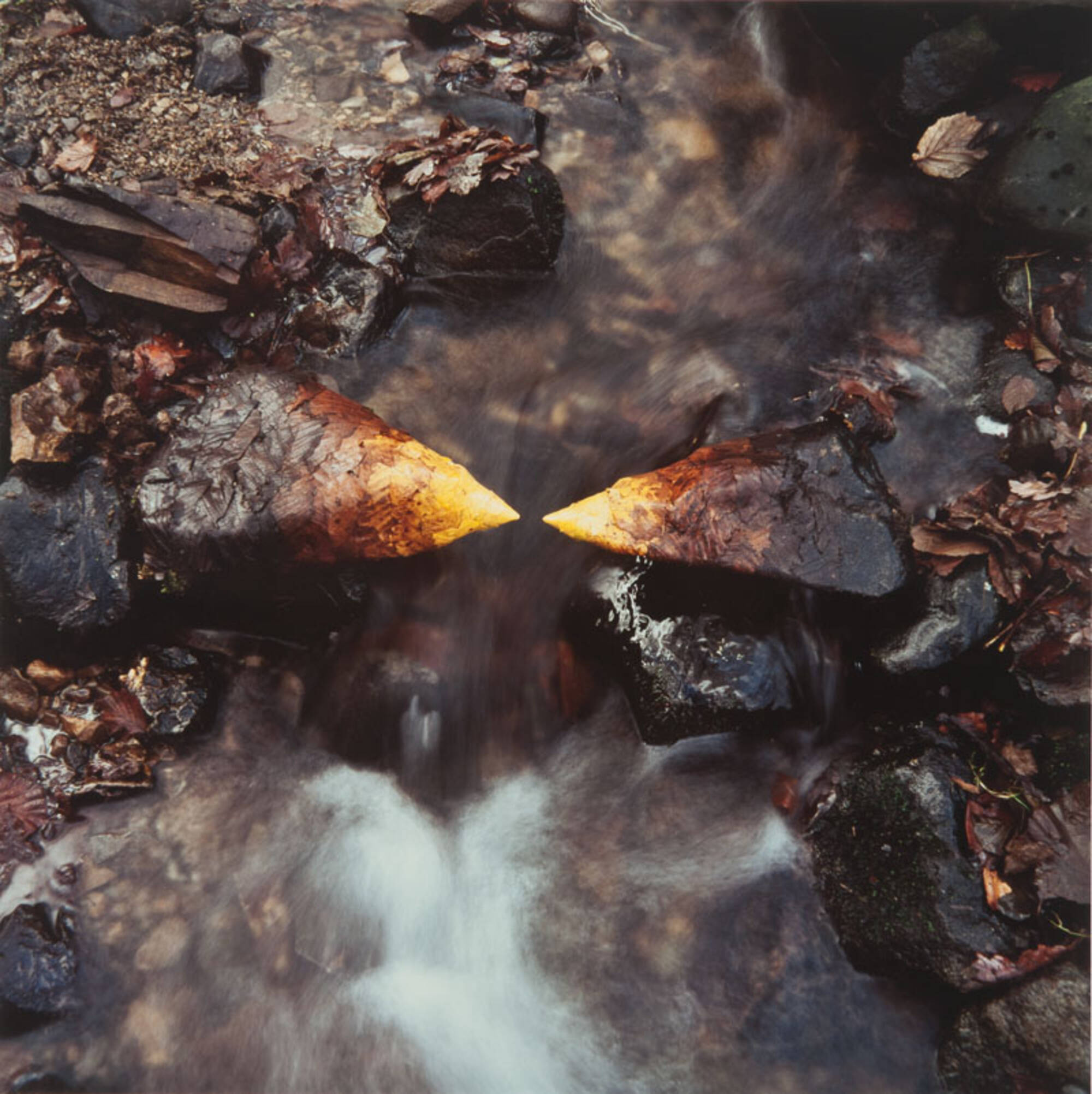 Fall Leaves on Stones