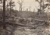 Battlefield of New Hope Church, GA. No. 2, from Photographic Views of the Sherman Campaign. 1866.