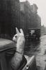 A Llama in Times Square. 1957; printed 1970s.