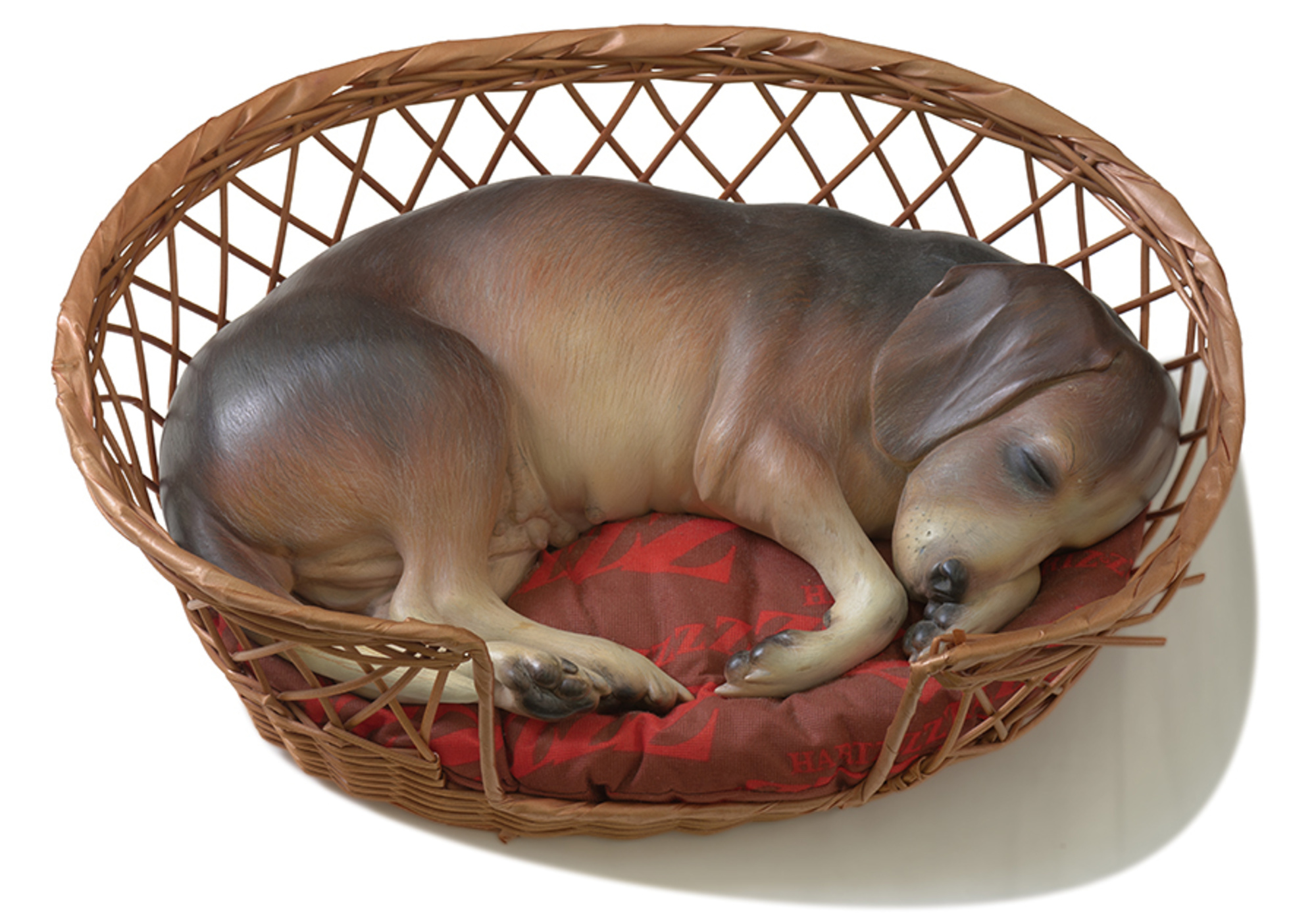 Beagle in a Basket