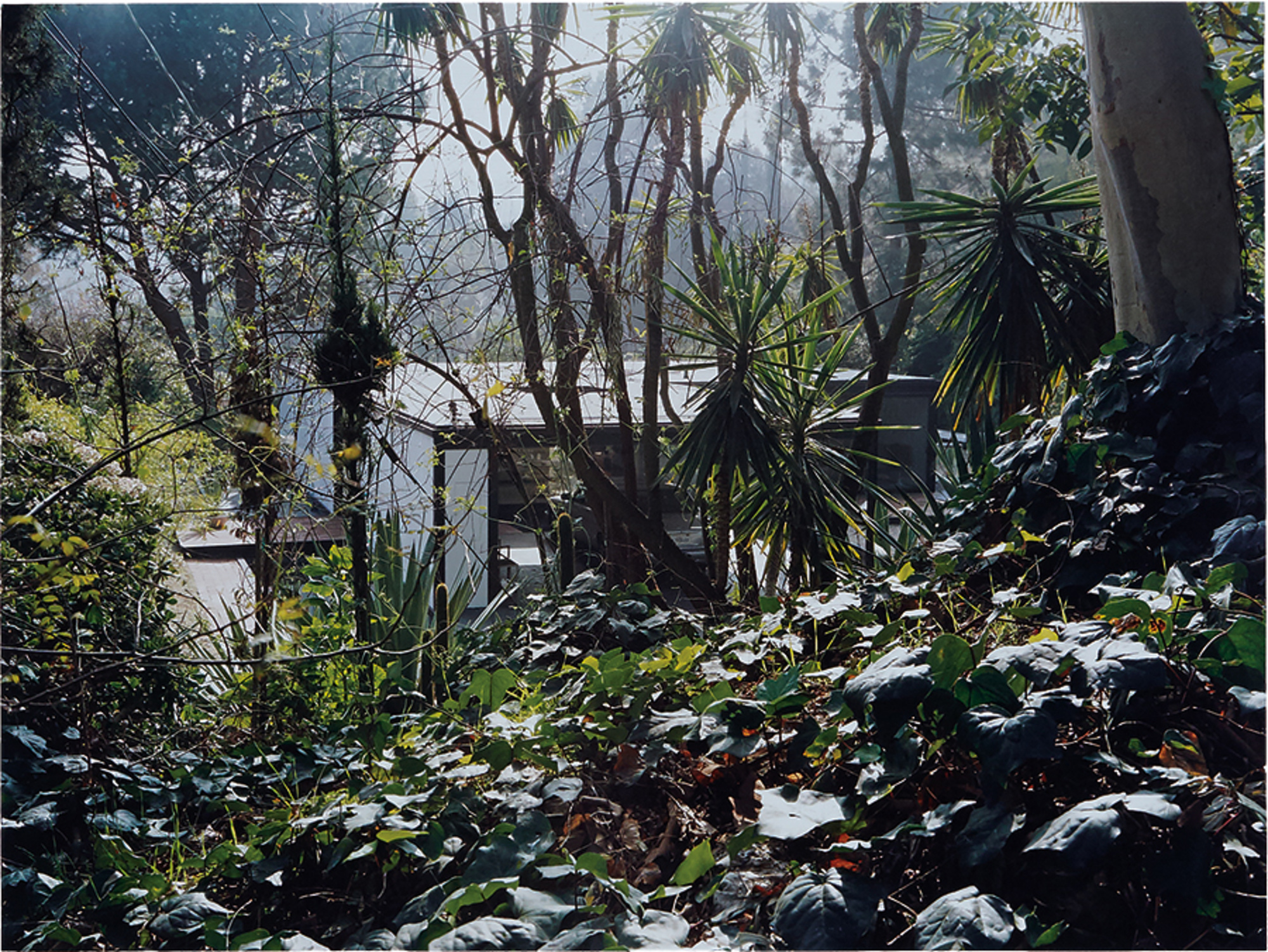 Case Study House #21 (Bailey House)