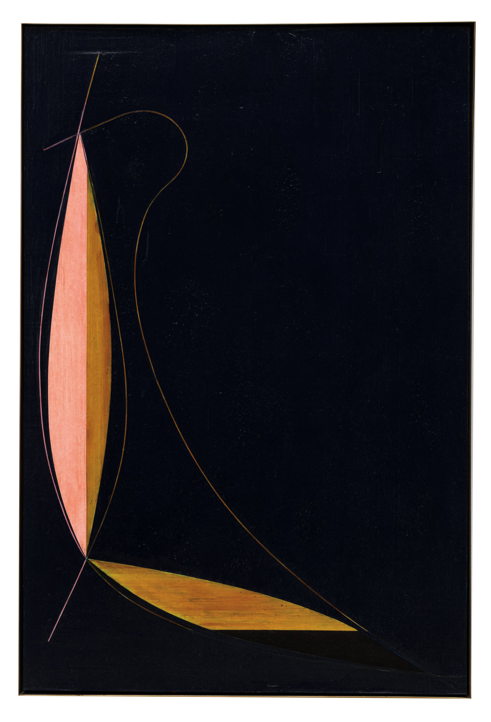 Sinew and Skin