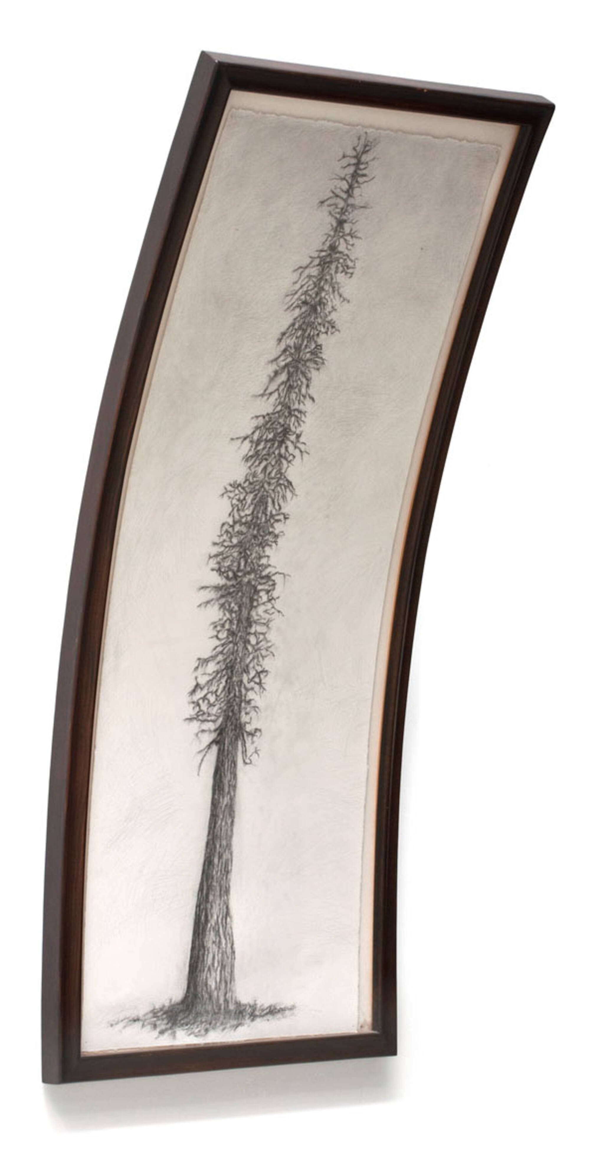 Bent Tree