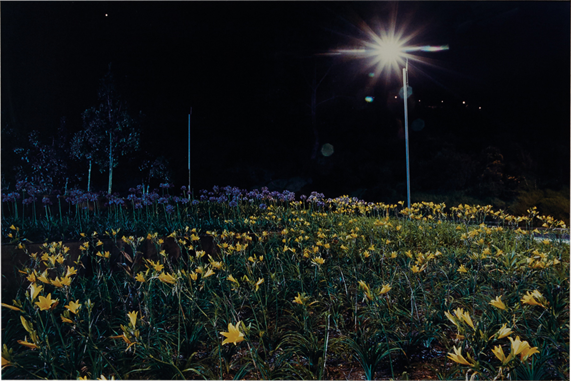 Untitled (from Bogota de Noche Series) (2)
