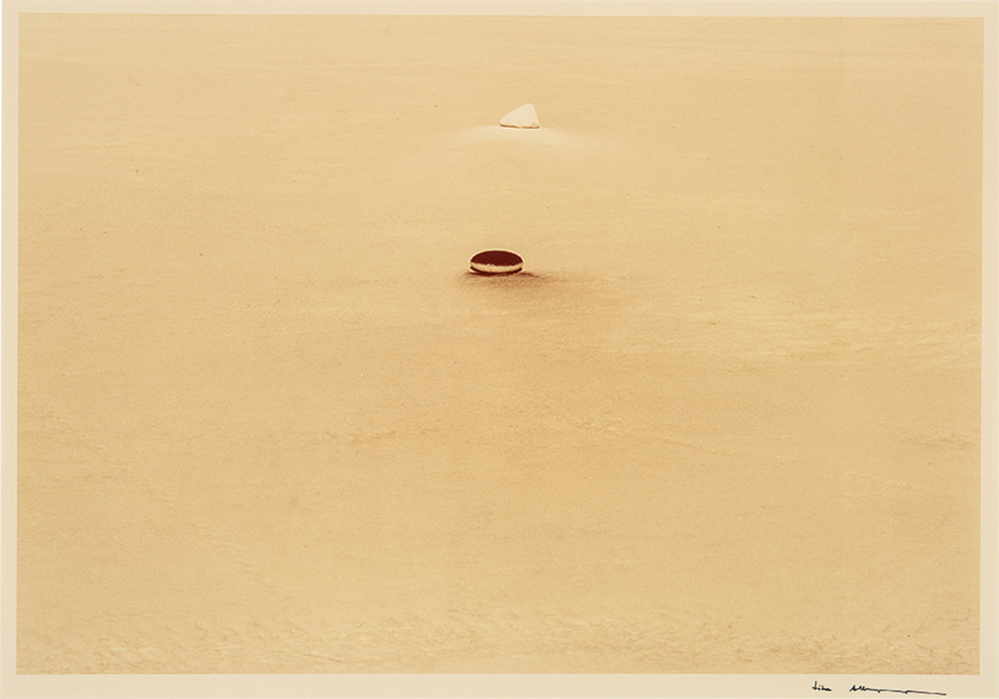 Rock and Pigment Installation (4)