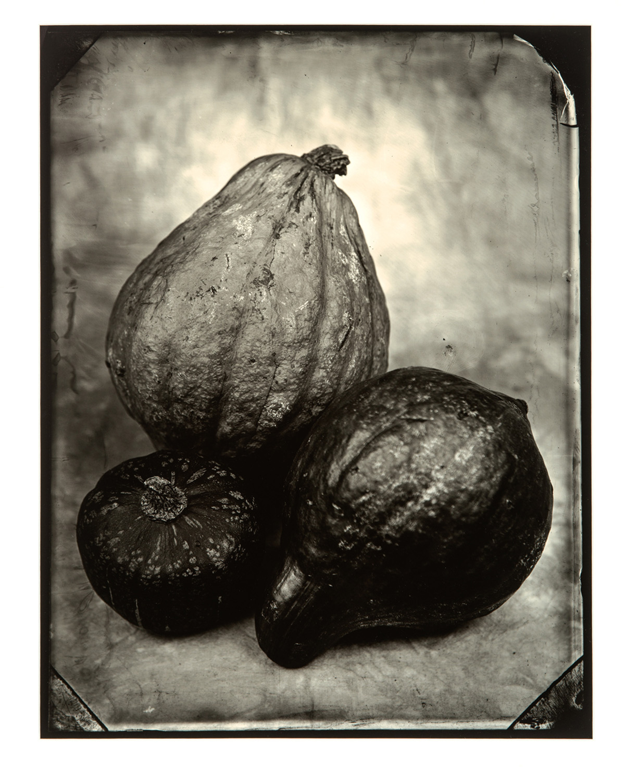 Gourds