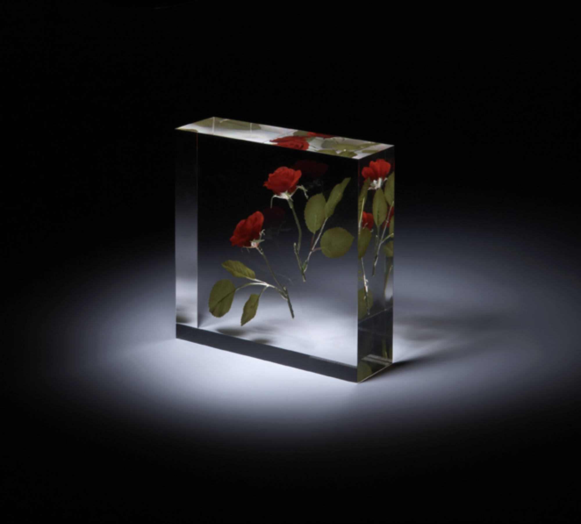 Sealing of Roses acrylic sculpture