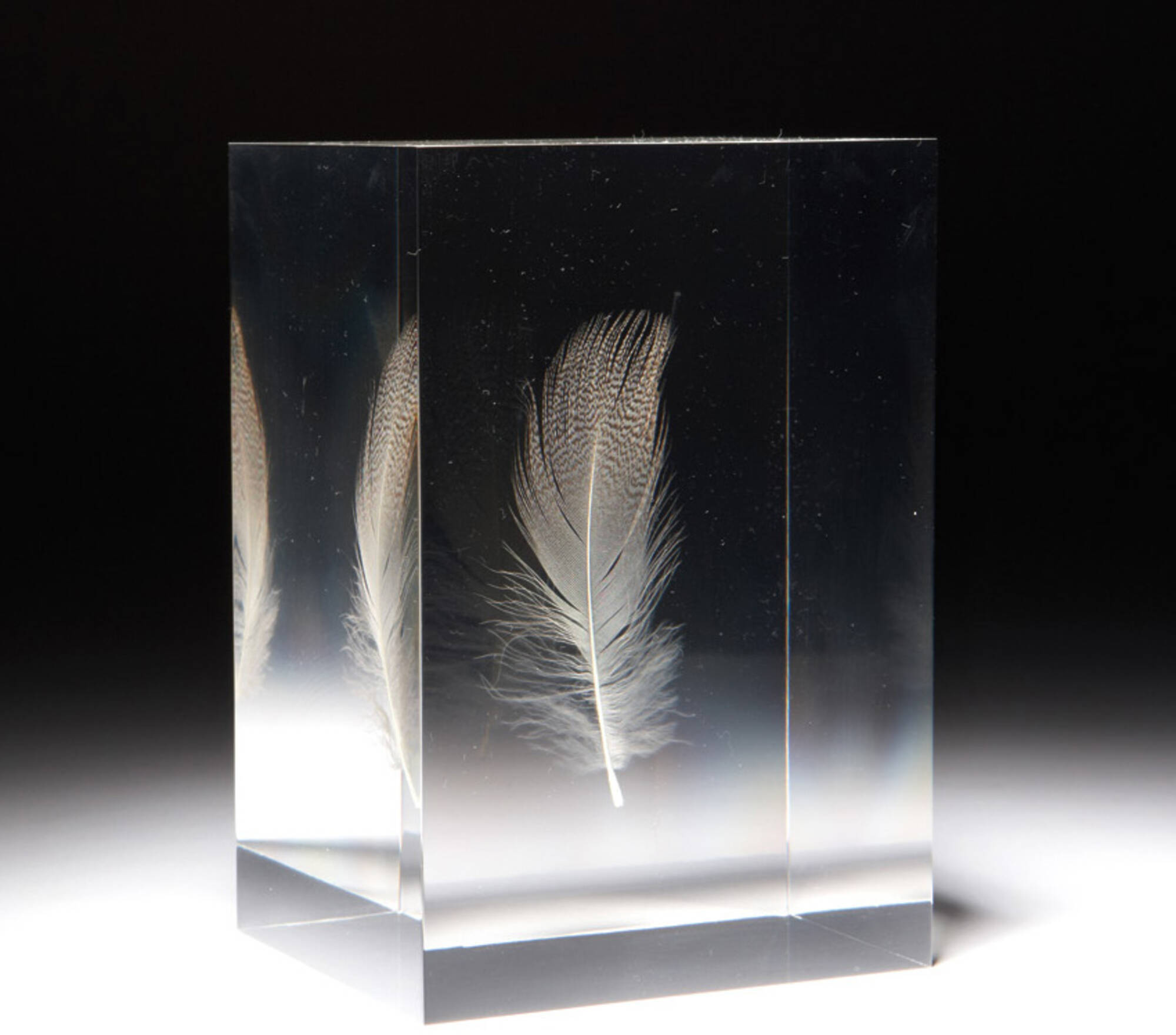 Floating Feather
