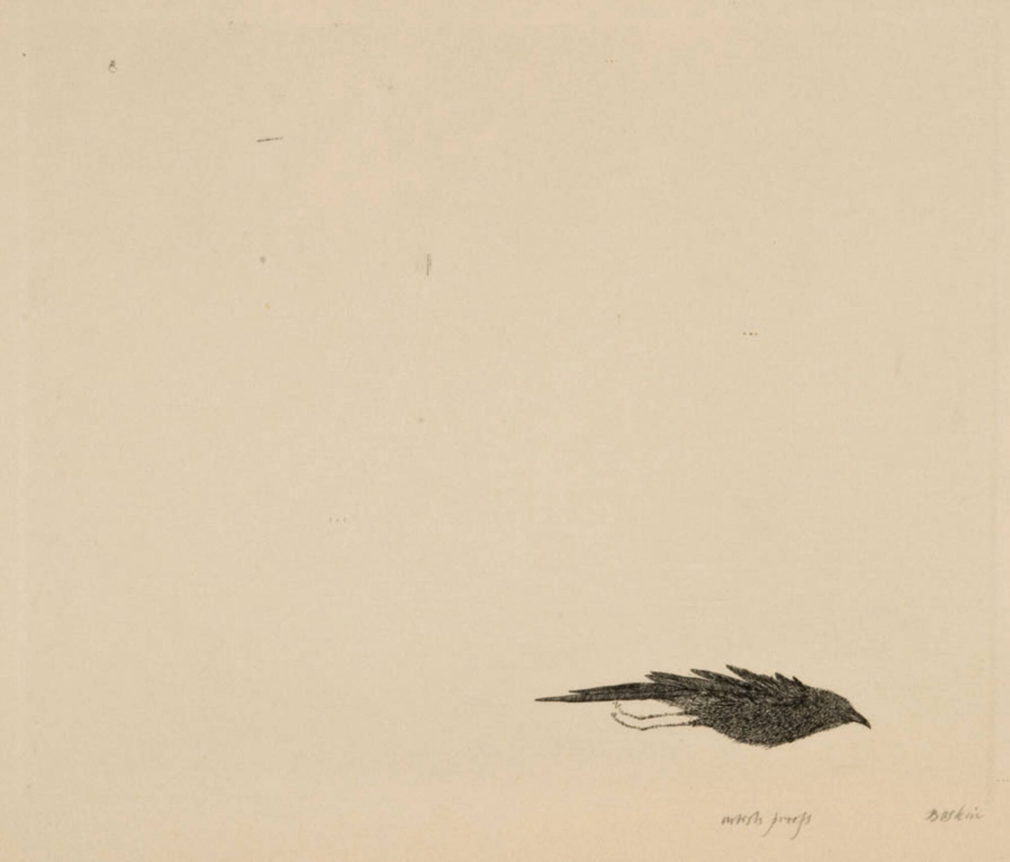 The Cry, Bird in the Sun and Tobias and the Angel (3)