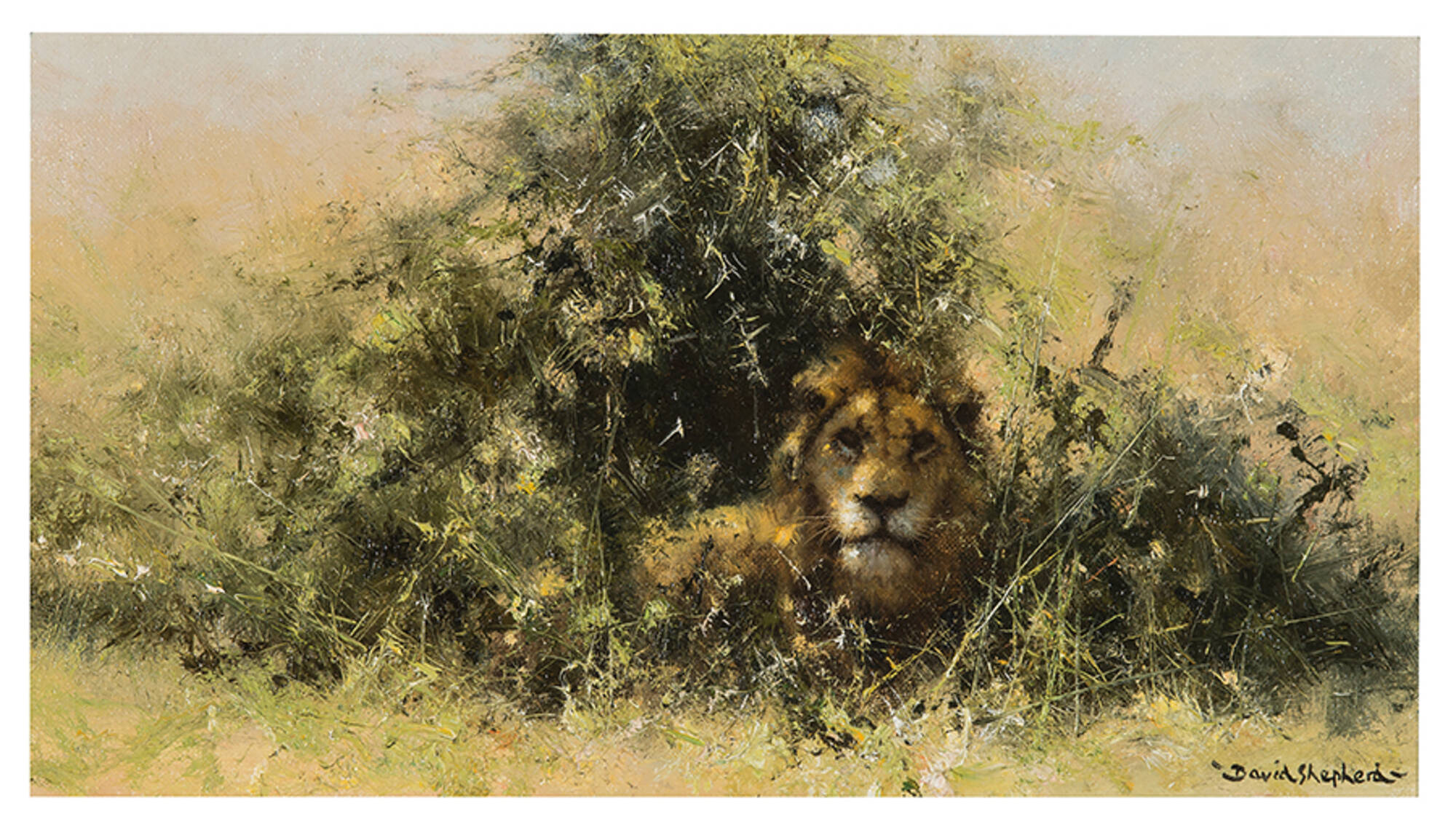 The King of the Plains