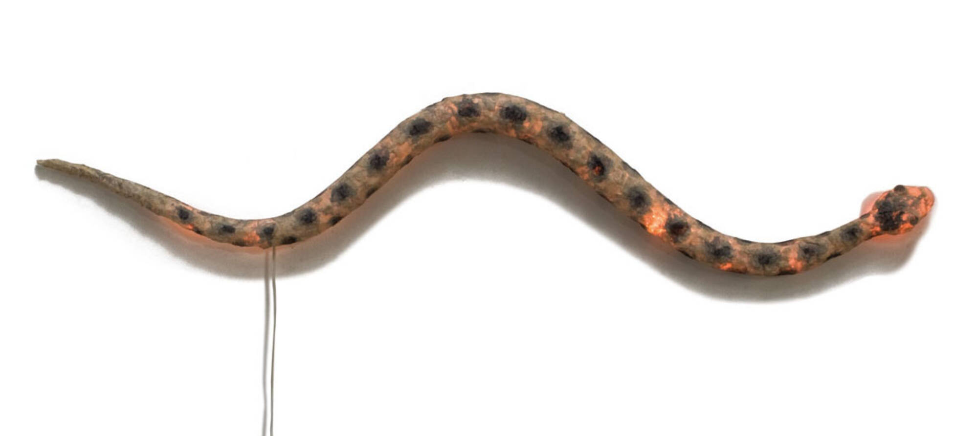 Snake Lamp