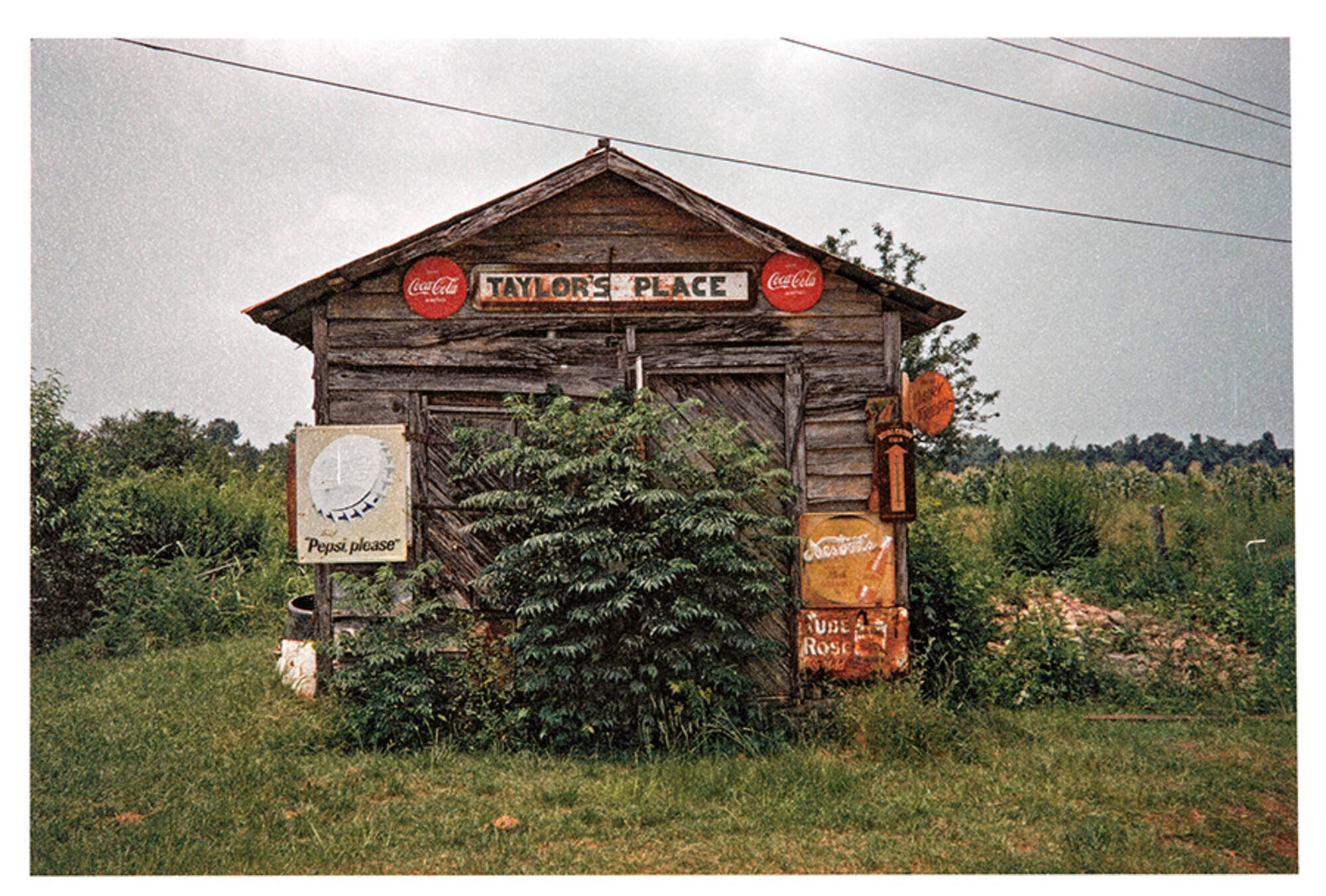 Taylor's Place, near Greensboro, Alabama