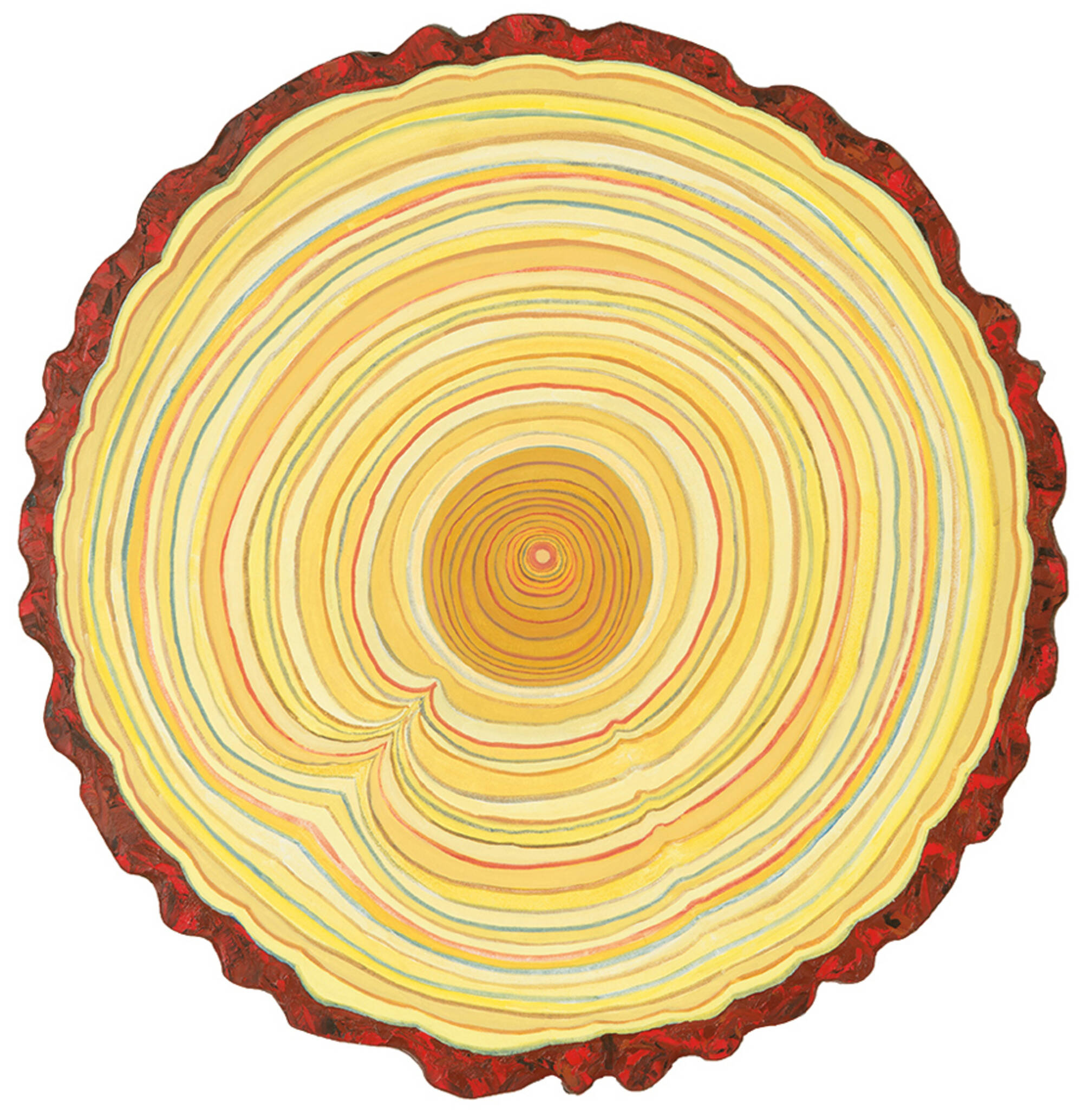 Sequoia (71)