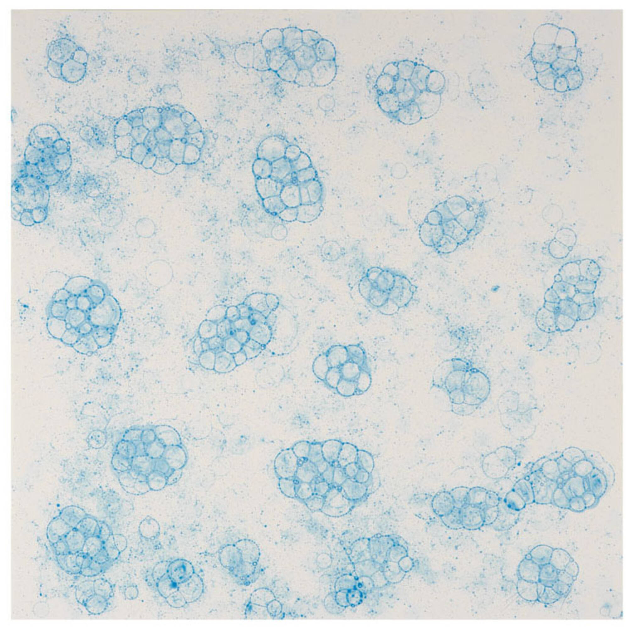 Untitled (Bubble Drawing)