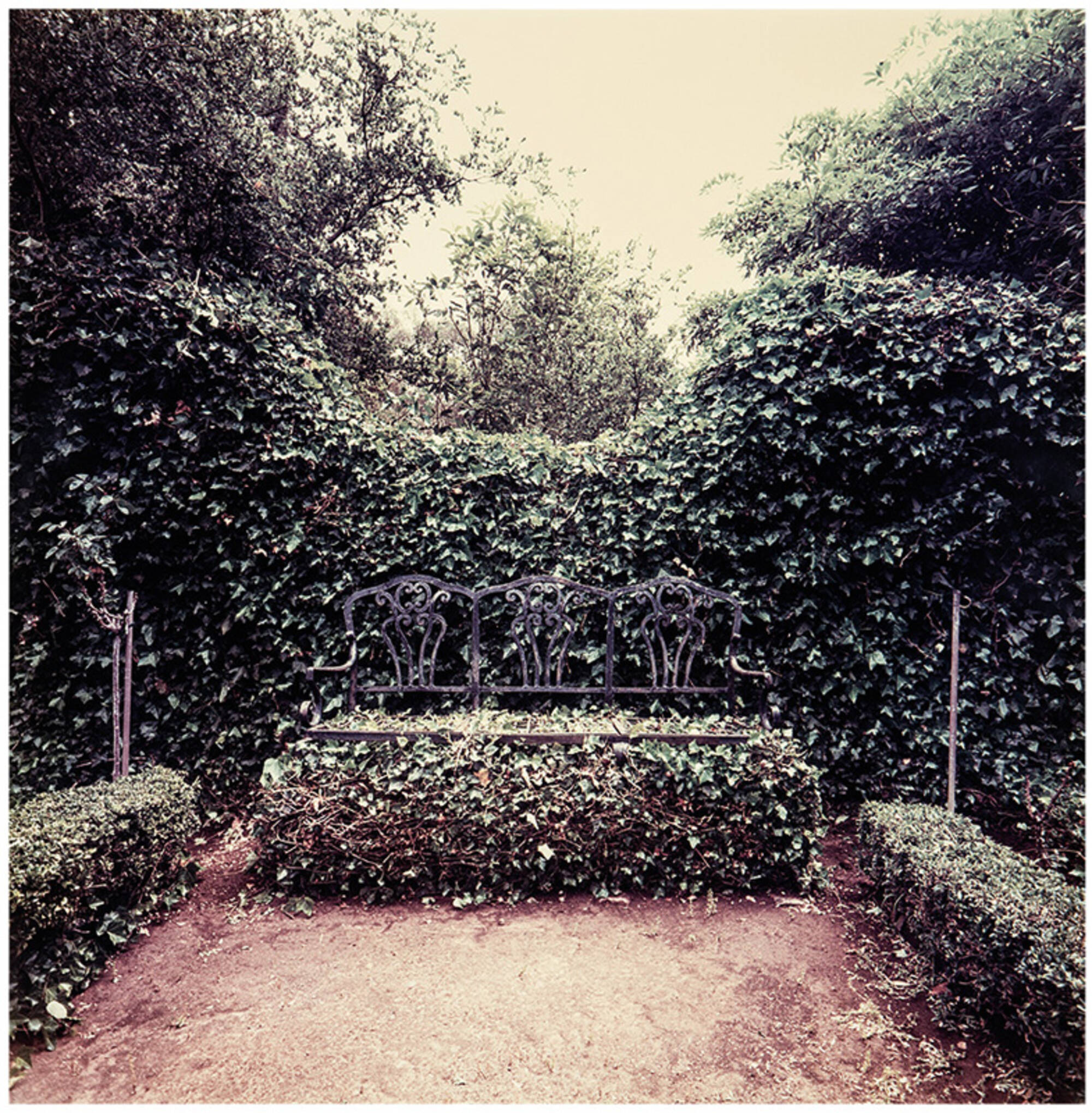 Ivy Benches, Las Tejas, Santa Barbara, CA; Bacon Estate, Montecito, CA (2)