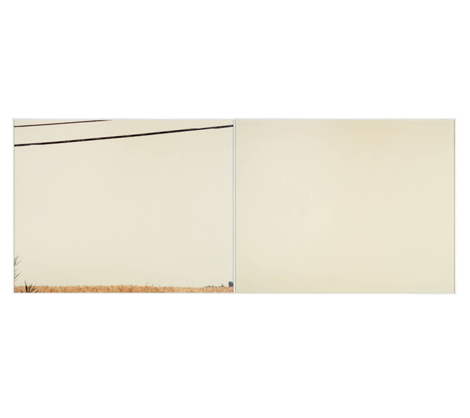 Untitled (98.8) (2)