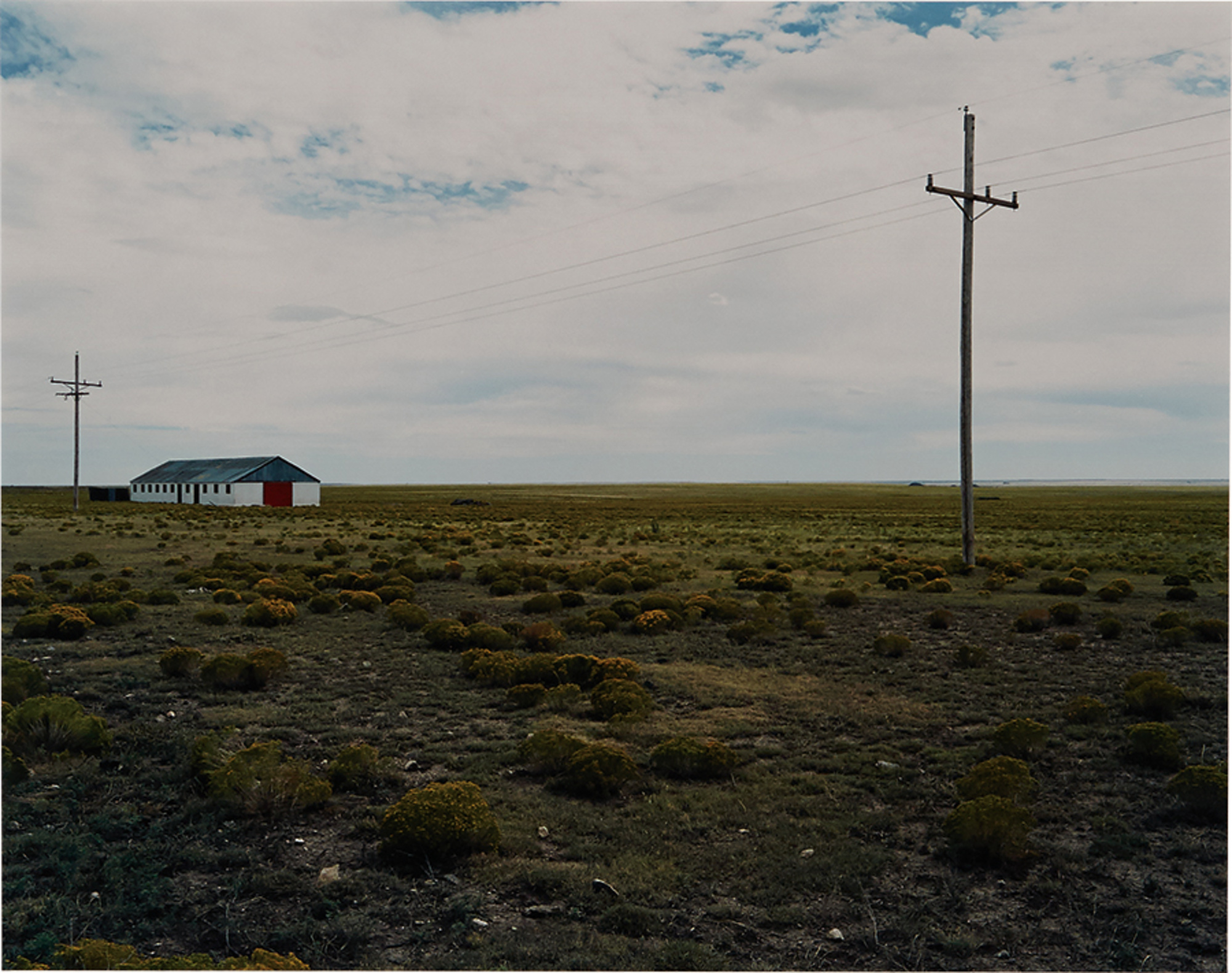 Untitled #19