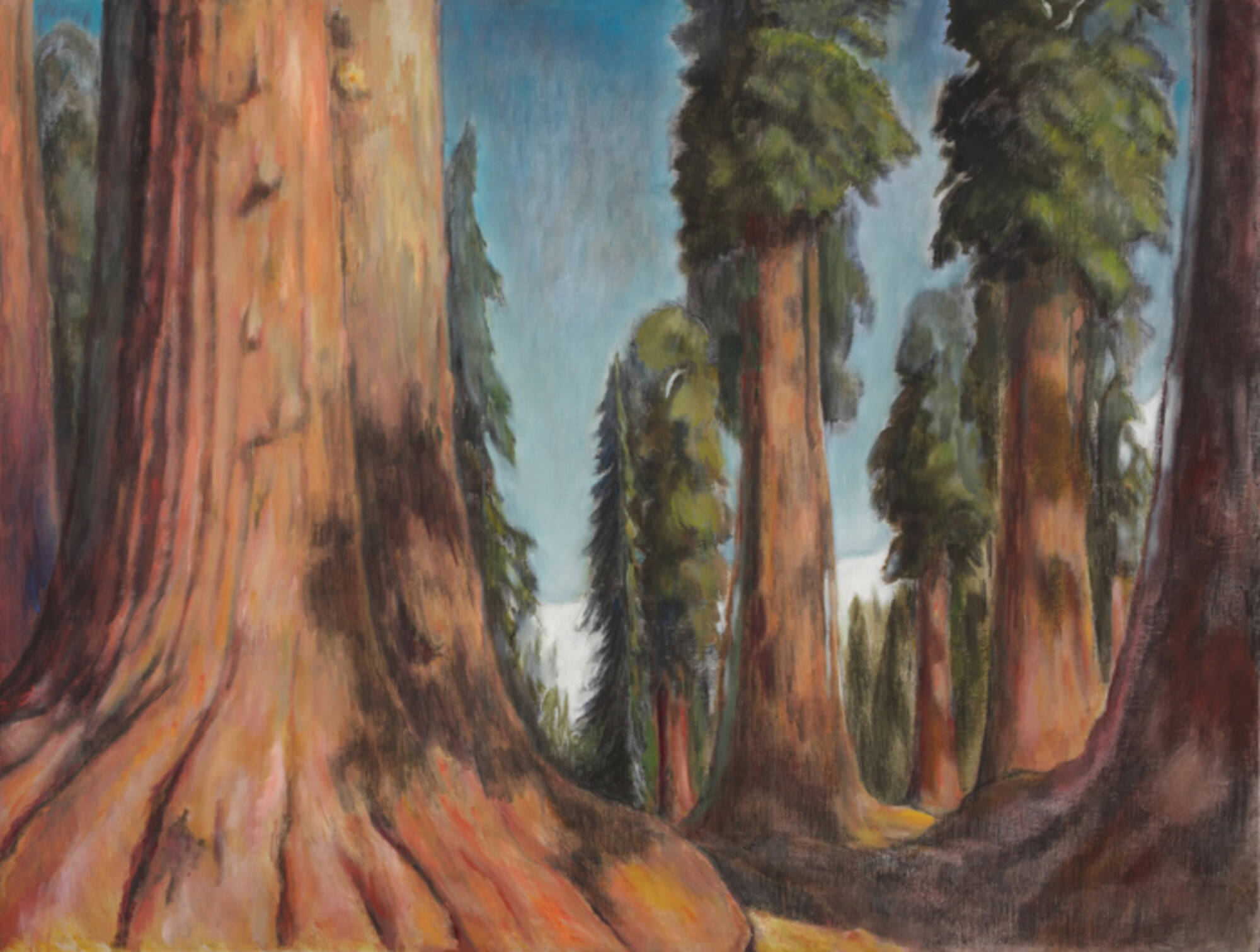 Landscape