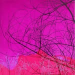 Cath Taylor