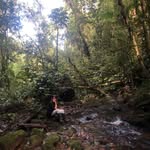 Rivane Neuenschwander