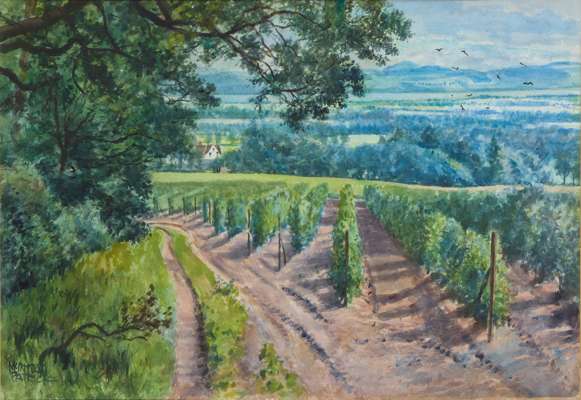 RASPBERRY FIELDS, MILLHILL, CARSE OF GOWRIE