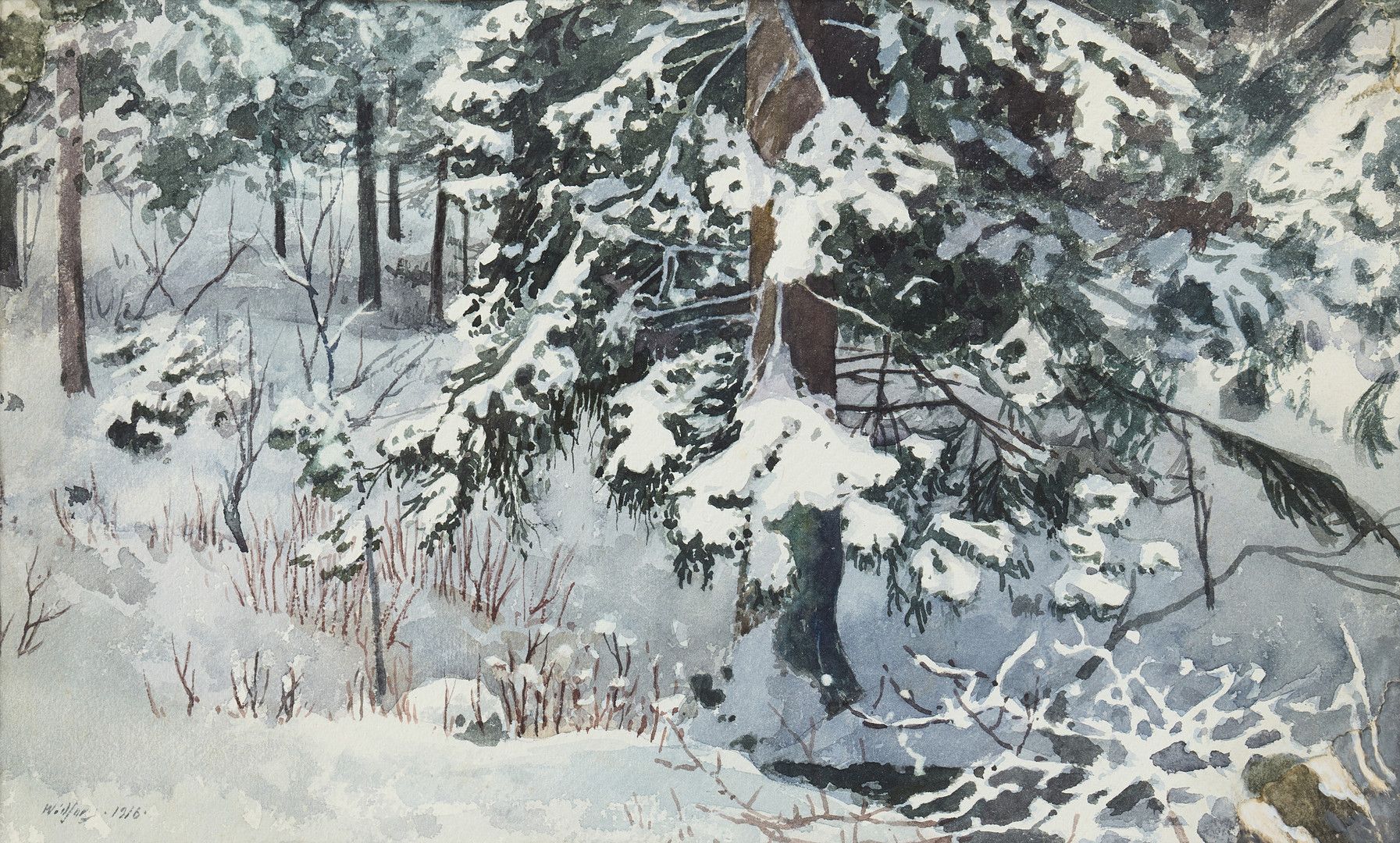 Snow-burdened trees.