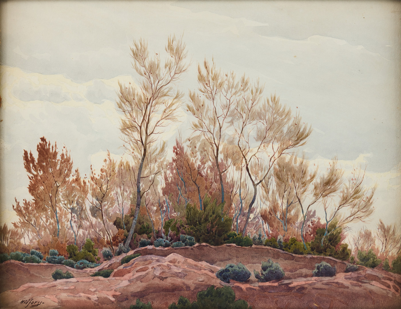 "Cottonwoods".