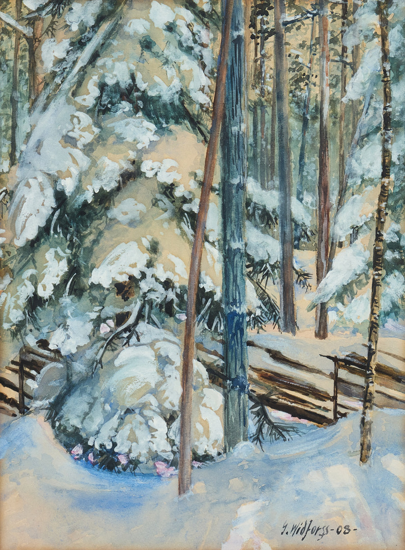 Vinterlandskap.