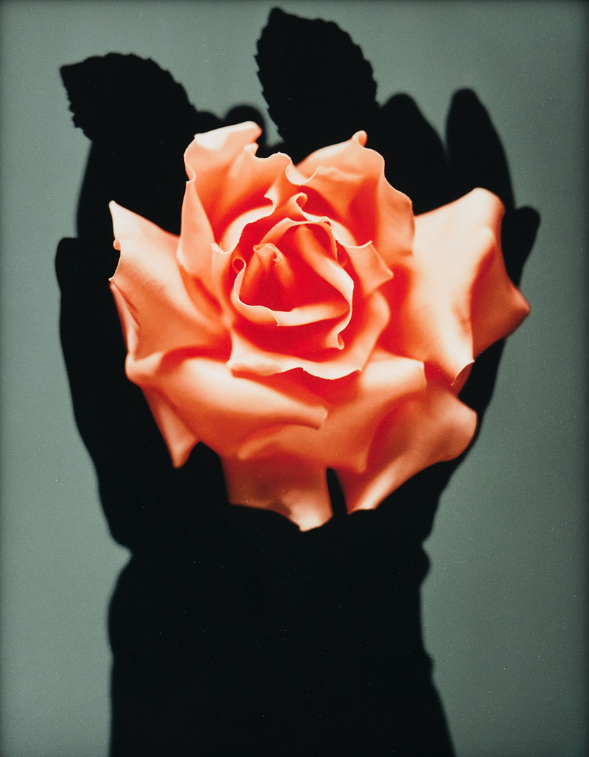 "Joyce" 1995.