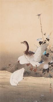 After, Ducks and dragonfly by the riverbank, first part of the 20th century.