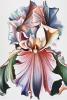 Limited Edition Lithograph, Lowell Nesbitt