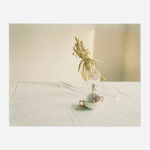 Untitled #51 (from the I Did Not Remember I Had Forgotten series)