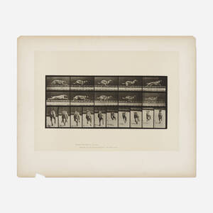 Plate 708 (from the Animal Locomotion series)