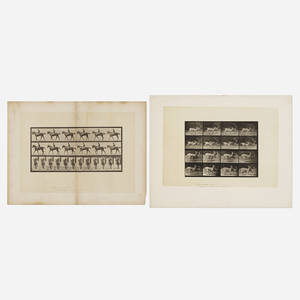 Plates 580 and 684 (from the Animal Locomotion series) (two works)