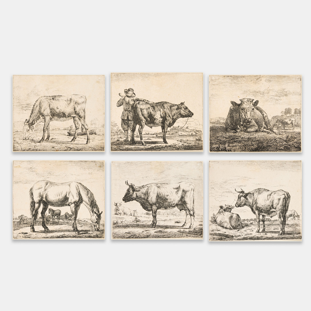 Group of 8 etchings, including a horse and cattle, from "Different Animals".