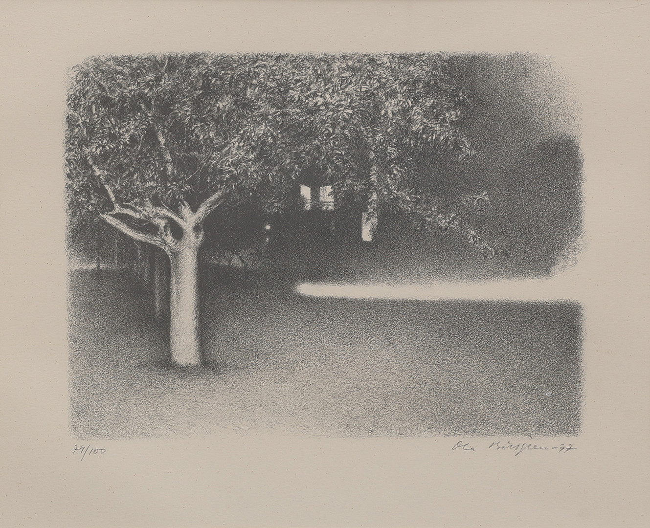 "TRÄDGÅRD, AGADIR", 1977.