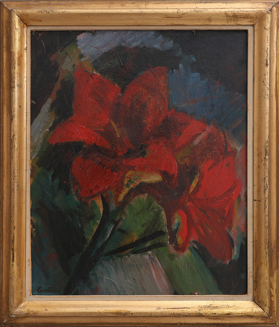 AMARYLLIS.