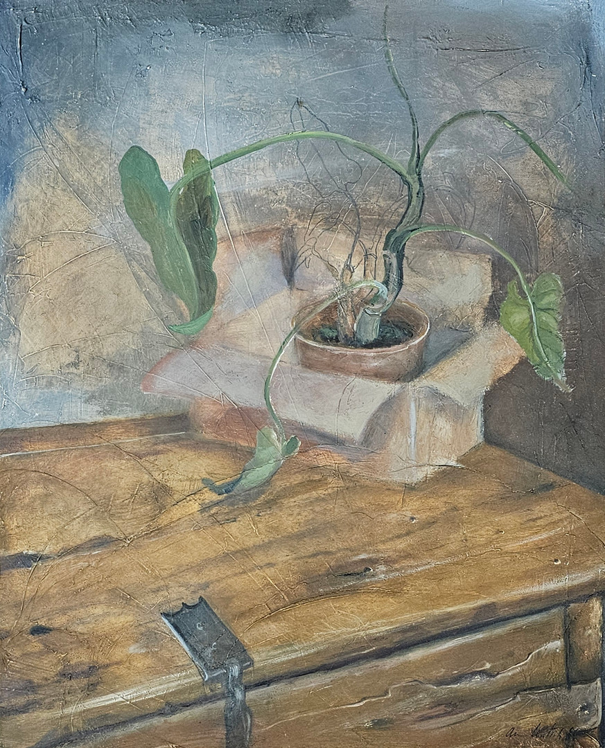 "Planta y caja sobre mesa" 1986. Óleo/shmatting sobre lienzo.