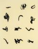 Lee Bae, Untitled
