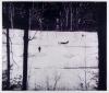 Peter Doig, Peter Doig – Almost Grown