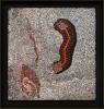 TIMMY PAYUNGKA TJAPANGATI, UNTITLED, C.1972