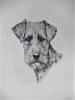 - FAITHFULLY YOURS - ORIGINAL ETCHING SIGNED